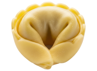 Close up of a single uncooked tortellino, traditional italian stuffed pasta