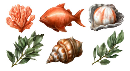 Obraz premium Detailed Collection of Marine Elements Including Fish, Coral, and Shells on Transparent Background