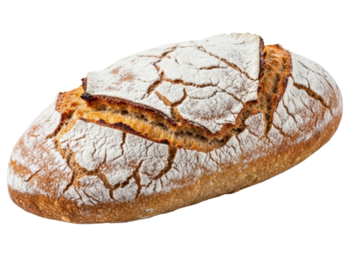 Delicious freshly baked rustic bread loaf with a golden brown and floured crust