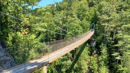 Long Suspension Bridge Spans Forest