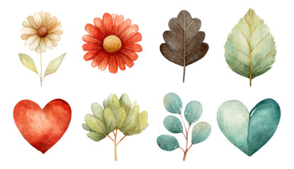 Fototapeta premium Watercolor Flowers and Leaves Collection on Transparent Background Isolated
