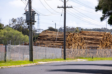 Stacks of processed logs stored at a timber yard in Portland, Victoria, Australia. Concept of forestry production, timber transport, and the regional logging industry.