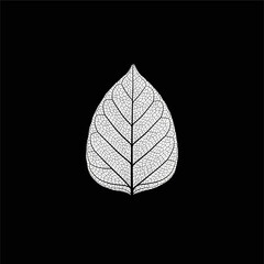 Isolated tree on white background