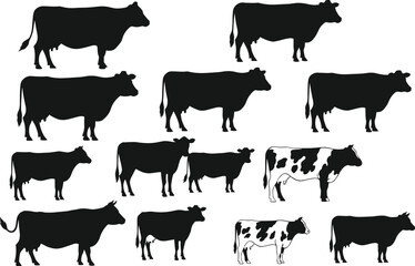 Cow and cattle silhouettes collection vector illustration, black and white farm animal design set, livestock shapes for agriculture, dairy, and rural artwork