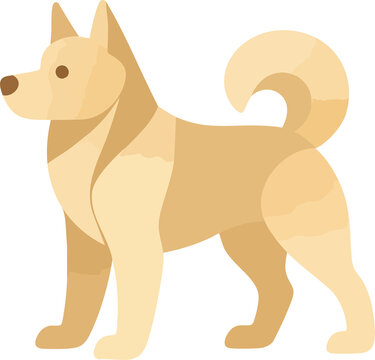 Norwegian Buhund Dog, Geometric vector dog breed illustrations in a colorful, modern flat style. Minimal, bold canine graphics ideal for posters, apps, prints, and digital design. Transparent