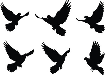 Flying bird silhouettes vector set, black dove and pigeon illustration collection, isolated wildlife design, freedom and peace concept, nature and flight art