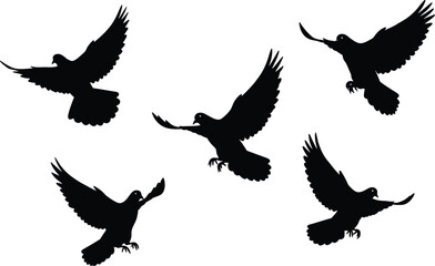 Flying dove silhouettes collection, black bird shapes in flight, peaceful freedom symbol vector, isolated pigeons illustration for design, nature art concept