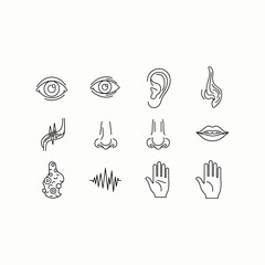 Organ Systems in the Human Body: Types, Parts, and Functions