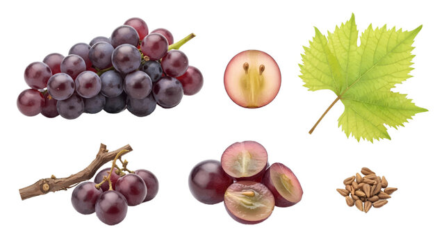 Vector illustration&nbsp;of a collection of ripe red grapes, cut in half, and a grape leaf on a white background