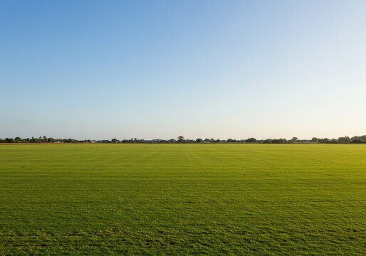 A lush green polo field stretching toward the horizon under bright sunshine, perfect for showcasing equestrian sport and competitive action, turf, athletic, backdrop