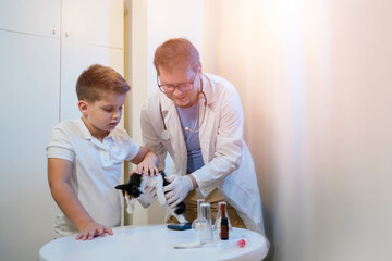 The child brought his cat to the veterinarian at the veterinary clinic for an appointment   