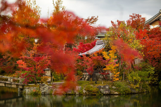 Autumn foliage at Eikando Temple, a famous tourist attraction in Kyoto, Japan.
