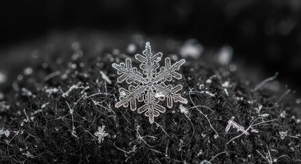 Close-up of a delicate snowflake resting on a dark, textured surface, showcasing its intricate crystalline structure in monochrome.