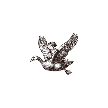 Vintage engraving illustration depicting a small child riding on the back of a large, flying goose