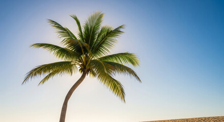 Obraz premium Vibrant Tropical Coconut Palm Tree Against Clear Blue Sky on a Sunny Day