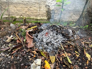Environmental Pollution from Burning Dry Leaves in Backyard. Smoke rising from burning dry leaves and twigs in a backyard, highlighting air pollution and waste management issues