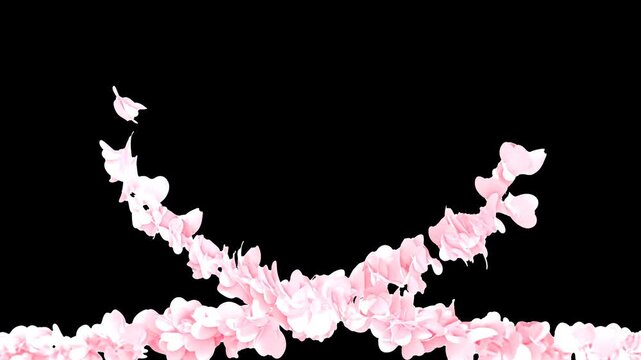 桜色のハートで形作られるハートの3DCG動画　黒背景　211f～420f部分ループ