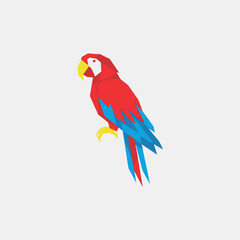 Fototapeta premium Vibrant macaw illustration with geometric design elements for modern branding and creative projects, adding a touch of the tropics to your designs now