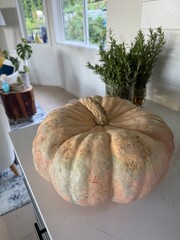 pumpkin, heirloom, autumn, fall, apples, thanksgiving, orange, food, harvest, isolated, seasonal, season, vegetables, stem, holiday, fresh
