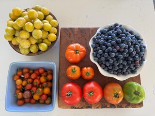 fresh food from garden