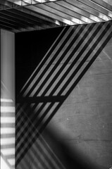 Shadows on a Corner Wall in Black and White.