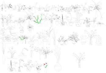 Large set of detailed line art sketches featuring various potted indoor plants, flowers, vases, and botanical decorations for home and garden design.