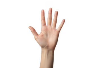 Human hand showing five fingers isolated on transparent background