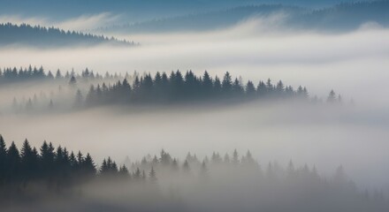 Fototapeta premium Ethereal Morning Fog Cascading Through Layers of Coniferous Forest Trees on Mountain Slopes