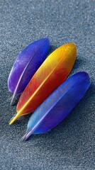 Three Vibrant Tropical Bird Feathers Displayed on Glittering Sand With Detailed Patterns in Blue Yellow and Red Colors Under Soft Lighting