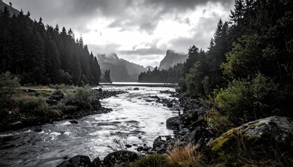 River flowing through wooded landscape