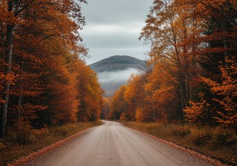 Fototapeta premium Dusty gravel road through a colorful autumn forest with fog covering the mountain