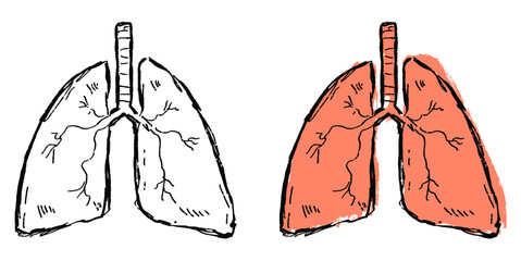 Grunge Sketch Handdrawn Human Lungs Vector Artistic grunge sketch vector of human lungs, hand-drawn style. Perfect for medical, educational, and awareness