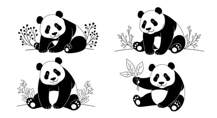 Fototapeta premium Four pandas sitting with foliage, black and white