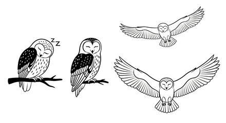 Owl resting and flying in outline style