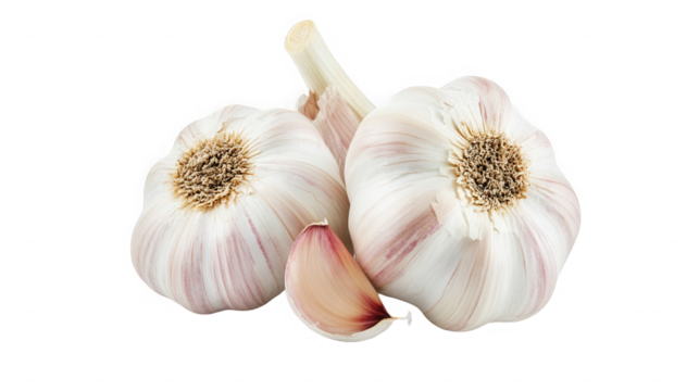 Two garlic bulbs and a clove isolated on transparent background, closeup view - Powered by Adobe