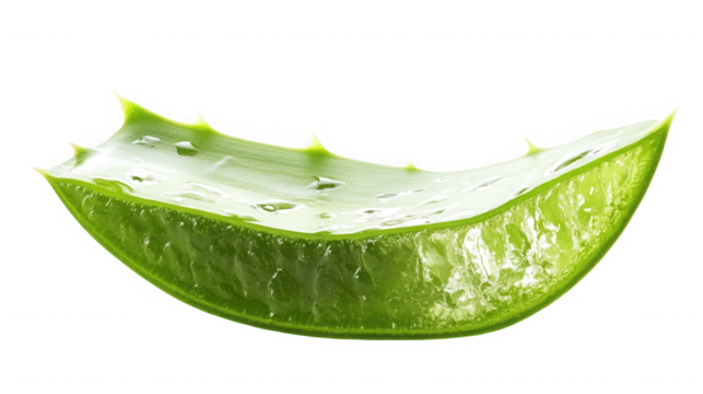 Fresh aloe vera slice isolated on transparent background for skincare and health - Powered by Adobe