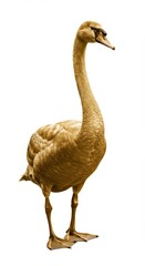 Ornately rendered waterfowl stands tall with a distinctly golden coloration against white