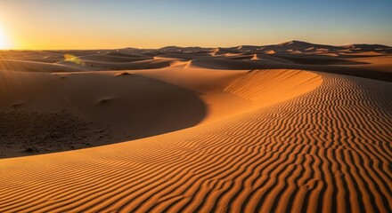 Naklejka premium Tranquil golden hour illuminates vast desert dunes with intricate wave patterns of sand