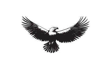 eagle vector illustration