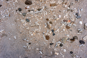 stones in the sand beach. shot with high angle view