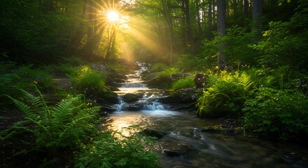 Obraz premium Sunlight filters through a lush green forest, illuminating a serene stream flowing over rocks and surrounded by vibrant ferns and moss.