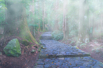 熊野古道大門坂