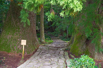 熊野古道大門坂