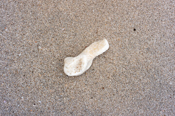 top view of coral reef on sand beach