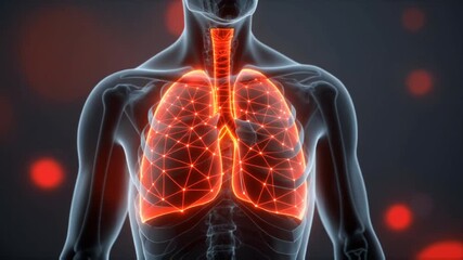 Digital visualization of the human lungs and trachea highlighted in red glowing data network within a translucent body model. - Powered by Adobe