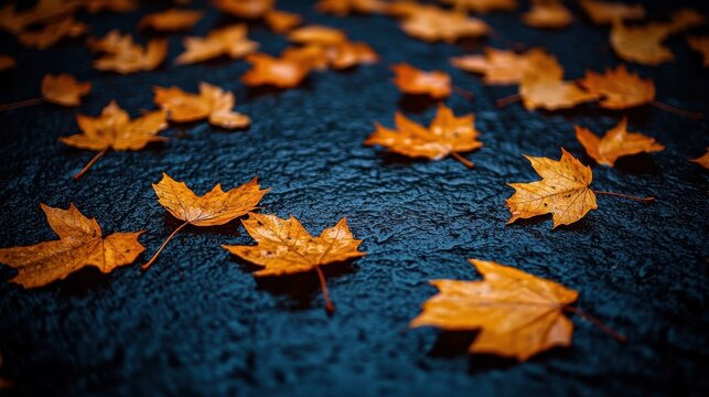 Close-up of fallen, vibrant orange autumn leaves scattered across a dark, wet surface