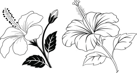 Ornamental hibiscus blossom with expressive petals and graceful leaf cluster in elegant outline style