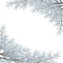 Obraz premium Frosty pine needles forming a border on a transparent background isolated on transparent background