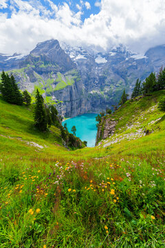 Summer landscape view of Lake Oeschinen in Kandersteg, Switzerland, surrounded by alpine meadows, colorful wildflowers, and majestic Swiss Alps mountains under a bright blue sky.