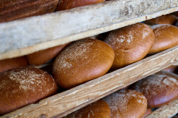 Freshly baked round breads displayed on wooden shelves in a local bakery, capturing the essence of traditional baking